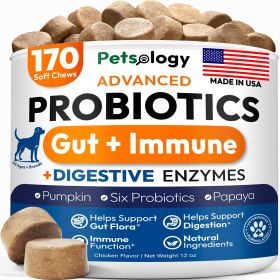 Probiotics for Dogs 170 Dog Probiotics Chews Digestive Enzymes & Prebiotics Support Gut Health Diarrhea Gas & Constipation Relief Itchy Skin Alle Probiotics for Dogs 170 Dog Probiotics Chews Digestive Enzymes & Prebiotics Support Gut Health Diarrhea Gas & Constipation Relief Itchy Skin Alle